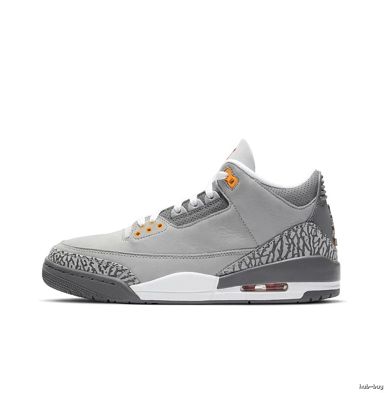 Jordan AJ3 Retro Grey Shoes